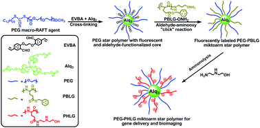 Graphical abstract: Polypeptide–poly(ethylene glycol) miktoarm star copolymers with a fluorescently labeled core: synthesis, delivery and imaging of siRNA