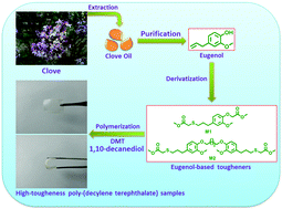 Graphical abstract: Toughened aromatic poly-(decylene terephthalate) copolyesters with two renewable eugenol-based components via a random copolymerization method