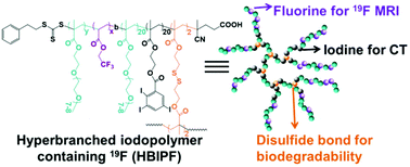 Graphical abstract: Multifunctional hyperbranched polymers for CT/19F MRI bimodal molecular imaging
