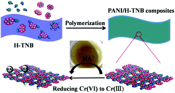 Graphical abstract: A core–shell structure of polyaniline coated protonic titanate nanobelt composites for both Cr(vi) and humic acid removal