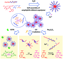 Graphical abstract: Multi-stimuli responsive supramolecular hydrogels based on Fe3+ and diblock copolymer micelle complexation