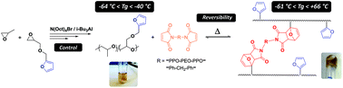 Graphical abstract: Activated anionic ring-opening polymerization for the synthesis of reversibly cross-linkable poly(propylene oxide) based on furan/maleimide chemistry