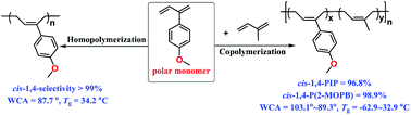 Graphical abstract: Highly cis-1,4-selective coordination polymerization of polar 2-(4-methoxyphenyl)-1,3-butadiene and copolymerization with isoprene using a β-diketiminato yttrium bis(alkyl) complex
