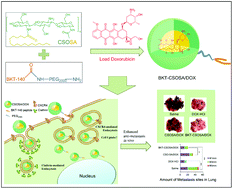Graphical abstract: Synthesis and biological application of BKT-140 peptide modified polymer micelles for treating tumor metastasis with an enhanced cell internalization