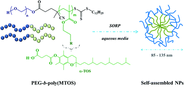 Graphical abstract: α-TOS-based RAFT block copolymers and their NPs for the treatment of cancer