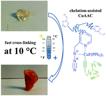 Graphical abstract: Chelation-assisted CuAAC in star-shaped polymers enables fast self-healing at low temperatures