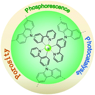 Graphical abstract: Conjugated microporous polycarbazole containing tris(2-phenylpyridine)iridium(iii) complexes: phosphorescence, porosity, and heterogeneous organic photocatalysis