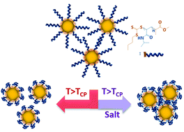 Graphical abstract: Poly(N-isopropylacrylamide) coated gold nanoparticles as colourimetric temperature and salt sensors