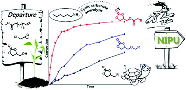Graphical abstract: Activated lipidic cyclic carbonates for non-isocyanate polyurethane synthesis