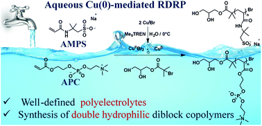 Graphical abstract: Polymerisation of 2-acrylamido-2-methylpropane sulfonic acid sodium salt (NaAMPS) and acryloyl phosphatidylcholine (APC) via aqueous Cu(0)-mediated radical polymerisation