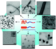 Graphical abstract: Multicompartment morphologies self-assembled from fluorinated ABC triblock terpolymers: the effects of flexible and rigid hydrophobic moieties