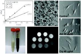 Graphical abstract: Novel, fast-processed crystalline and amorphous manganese oxide nanoparticles for stem cell labeling