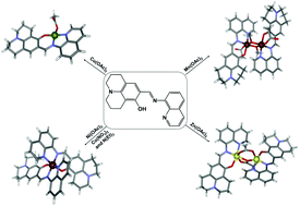 Graphical abstract: 3d transition metal complexes with a julolidine–quinoline based ligand: structures, spectroscopy and optical properties