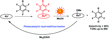 Graphical abstract: Light induced catalytic hydrodefluorination of perfluoroarenes by porphyrin rhodium