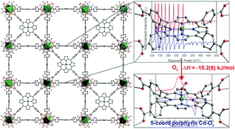 Graphical abstract: Dioxygen binding at a four-coordinate cobaltous porphyrin site in a metal–organic framework: structural, EPR, and O2 adsorption analysis