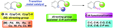 Graphical abstract: Transition metal-catalyzed C–H bond functionalizations by the use of diverse directing groups