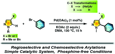 Graphical abstract: Conditions for palladium-catalyzed direct arylations of 4-bromo and 4-iodo N-substituted pyrazoles without C–Br or C–I bond cleavage
