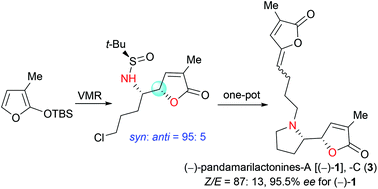 Graphical abstract: Studies on the asymmetric synthesis of pandamarilactonines: an unexpected syn-selective vinylogous Mannich reaction of N-tert-butanesulfinimines