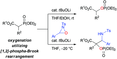 Graphical abstract: Brønsted base-catalyzed α-oxygenation of carbonyl compounds utilizing the [1,2]-phospha-Brook rearrangement