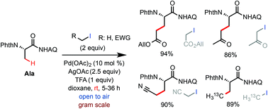 Graphical abstract: Palladium-catalyzed alkylation of unactivated C(sp3)–H bonds with primary alkyl iodides at room temperature: facile synthesis of β-alkyl α-amino acids