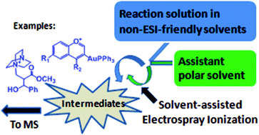 Graphical abstract: The remarkable role of solvent in reaction mechanism studies by electrospray mass spectrometry