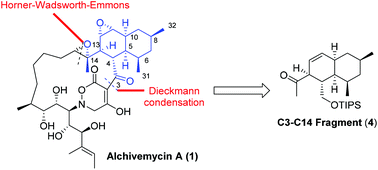 Graphical abstract: Studies towards the synthesis of the functionalized C3–C14 decalin framework of alchivemycin A