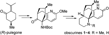 Graphical abstract: Asymmetric total synthesis of Lycopodium alkaloids α-obscurine, N-desmethyl-α-obscurine, β-obscurine and N-desmethyl-β-obscurine