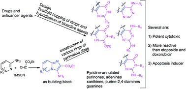 Graphical abstract: Scaffold-hopping and hybridization based design and building block strategic synthesis of pyridine-annulated purines: discovery of novel apoptotic anticancer agents