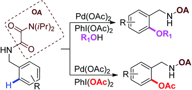 Graphical abstract: Palladium-catalyzed oxygenation of C(sp2)–H and C(sp3)–H bonds under the assistance of oxalyl amide