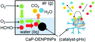 Graphical abstract: Catalytic oxidation of formaldehyde in water by calcium phosphate-based Pt composites
