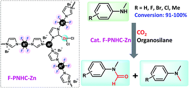 Graphical abstract: Fluoro-functionalized polymeric N-heterocyclic carbene-zinc complexes: efficient catalyst for formylation and methylation of amines with CO2 as a C1-building block