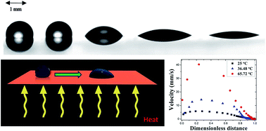 Graphical abstract: Thermally enhanced self-propelled droplet motion on gradient surfaces