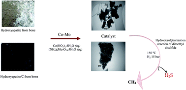 Graphical abstract: Synthesis and characterization of new hydrodesulphurization Co–Mo catalysts supported on calcined and pyrolyzed bone