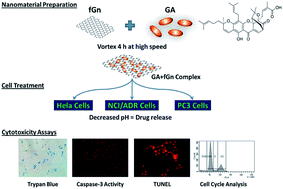 Graphical abstract: Nanodelivery of gambogic acid by functionalized graphene enhances inhibition of cell proliferation and induces G0/G1 cell cycle arrest in cervical, ovarian, and prostate cancer cells