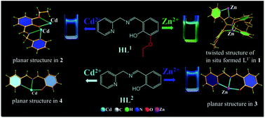 Graphical abstract: Two Schiff base ligands for distinguishing ZnII/CdII sensing—effect of substituent on fluorescent sensing