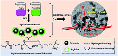 Graphical abstract: Arginine-assisted synthesis of palladium nanochain networks and their enhanced electrocatalytic activity for borohydride oxidation
