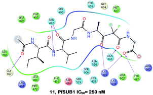 Graphical abstract: Plasmodium falciparum subtilisin-like protease 1: discovery of potent difluorostatone-based inhibitors