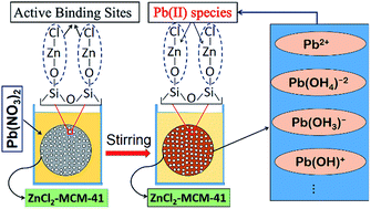 Graphical abstract: Removal of Pb(ii) from aqueous solution by mesoporous silica MCM-41 modified by ZnCl2: kinetics, thermodynamics, and isotherms