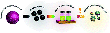 Graphical abstract: Preparation of biocompatible and antibacterial carbon quantum dots derived from resorcinol and formaldehyde spheres