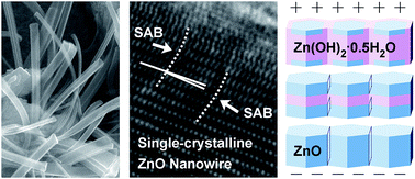 Graphical abstract: Phase and structure development of spontaneously ambient-grown ZnO·xH2O and TiO2·xH2O nanostructures towards oxide single crystals