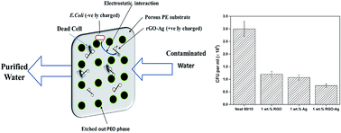 Graphical abstract: Porous membranes designed from bi-phasic polymeric blends containing silver decorated reduced graphene oxide synthesized via a facile one-pot approach