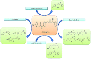 Graphical abstract: Characterization of stress degradation products of mirabegron using UPLC-QTOF-MS/MS and in silico toxicity predictions of its degradation products