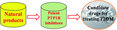 Graphical abstract: Natural and semisynthetic protein tyrosine phosphatase 1B (PTP1B) inhibitors as anti-diabetic agents
