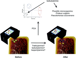 Graphical abstract: Use of plastic-based analytical device, smartphone and chemometric tools to discriminate amines