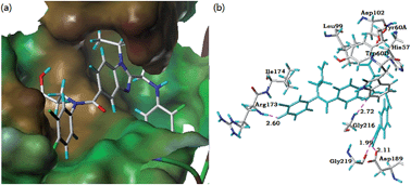 Graphical abstract: Design, synthesis, biological evaluation and molecular docking of novel dabigatran derivatives as potential thrombin inhibitors