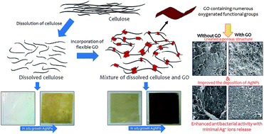 Graphical abstract: Antibacterial hybrid cellulose–graphene oxide nanocomposite immobilized with silver nanoparticles