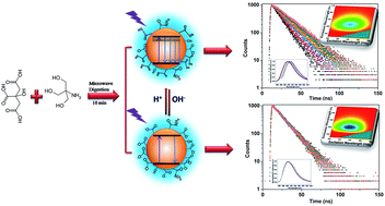 Graphical abstract: Novel pH sensitive N-doped carbon dots with both long fluorescence lifetime and high quantum yield