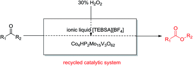 Graphical abstract: Efficient and convenient oxidation of aldehydes and ketones to carboxylic acids and esters with H2O2 catalyzed by Co4HP2Mo15V3O62 in ionic liquid [TEBSA][BF4]