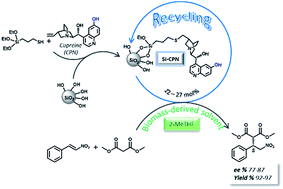 Graphical abstract: Cupreine grafted onto silica as an enantioselective and recyclable catalyst for the 1,4-addition of malonate to trans-β-nitrostyrene