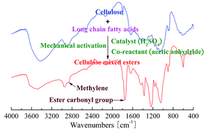 Graphical abstract: Green mechanical activation-assisted solid phase synthesis of cellulose esters using a co-reactant: effect of chain length of fatty acids on reaction efficiency and structure properties of products